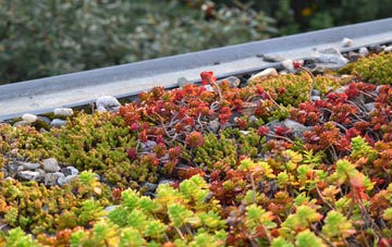 the cost of Astrope green roof installation