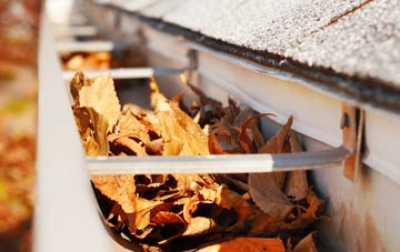 Astrope gutter cleaning companies